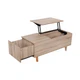 Blowout Sale - Fant Coffee Table - Image 2