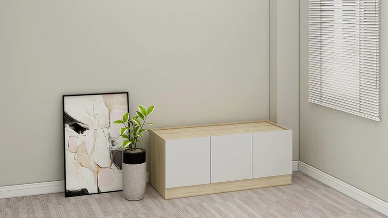 Blowout Sale - Palonian Cabinet